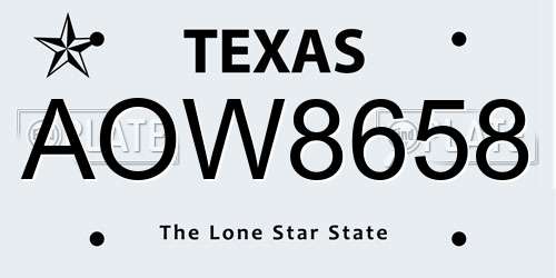AOW8658 Texas License Plate
