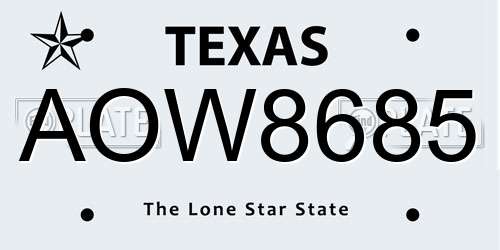 AOW8685 Texas License Plate