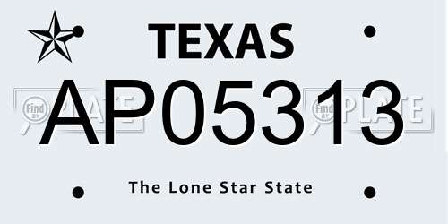 AP05313 Texas License Plate