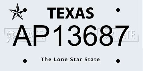 AP13687 Texas License Plate