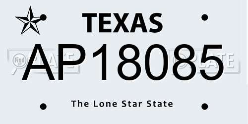 AP18085 Texas License Plate