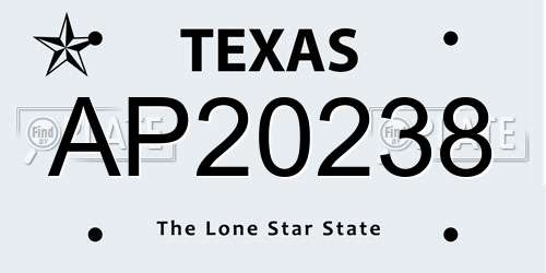 AP20238 Texas License Plate