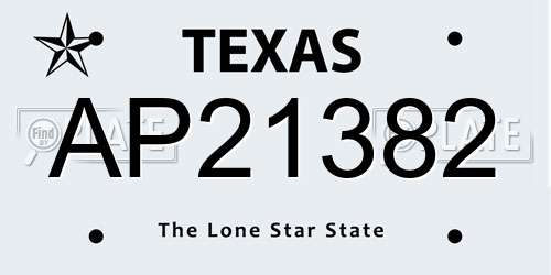 AP21382 Texas License Plate