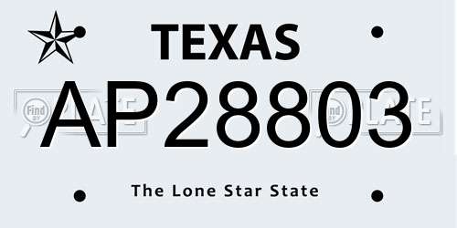 AP28803 Texas License Plate