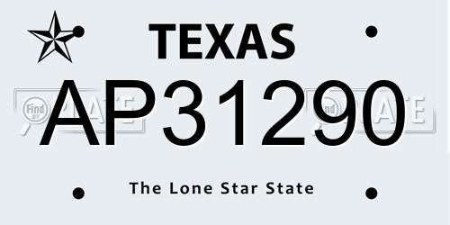AP31290 Texas License Plate