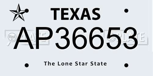 AP36653 Texas License Plate