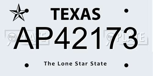 AP42173 Texas License Plate