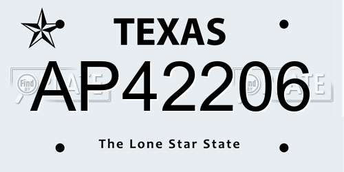AP42206 Texas License Plate
