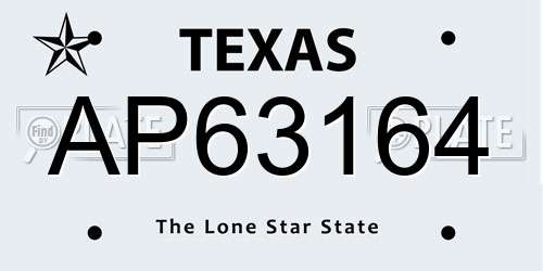 AP63164 Texas License Plate