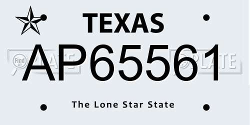 AP65561 Texas License Plate