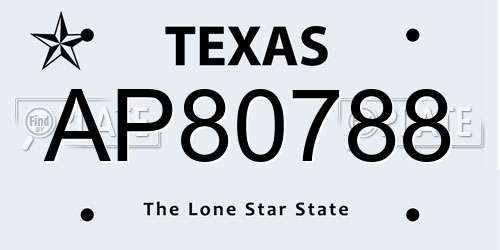 AP80788 Texas License Plate