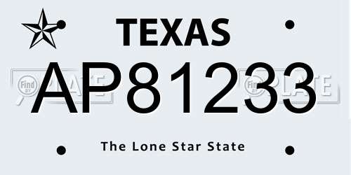 AP81233 Texas License Plate