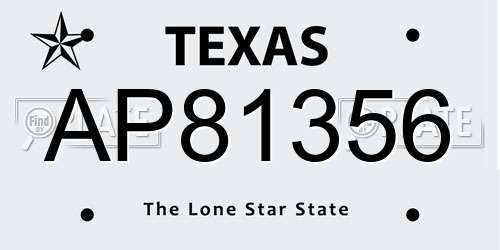 AP81356 Texas License Plate