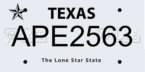 APE2563 Texas License Plate