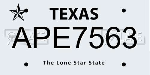 APE7563 Texas License Plate