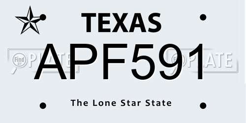 APF591 Texas License Plate