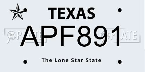 APF891 Texas License Plate
