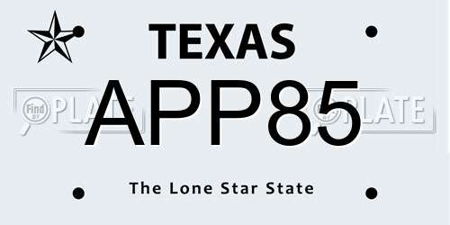 APP85 Texas License Plate