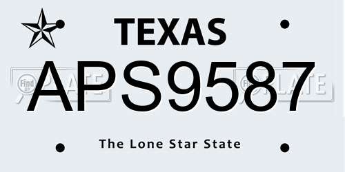 APS9587 Texas License Plate