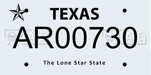 AR00730 Texas License Plate