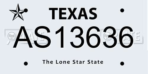 AS13636 Texas License Plate