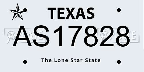 AS17828 Texas License Plate