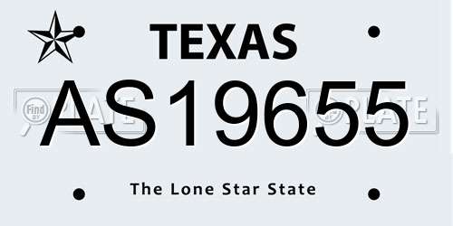 AS19655 Texas License Plate