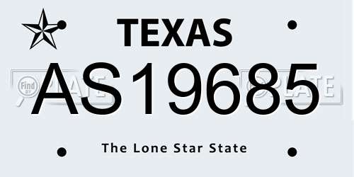 AS19685 Texas License Plate