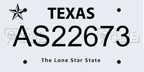 AS22673 Texas License Plate