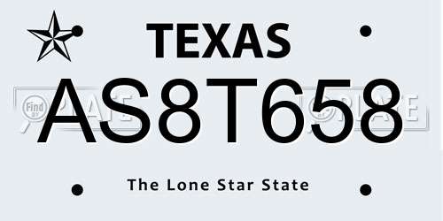 AS8T658 Texas License Plate