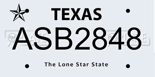 ASB2848 Texas License Plate