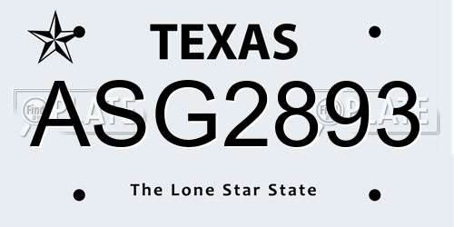 ASG2893 Texas License Plate