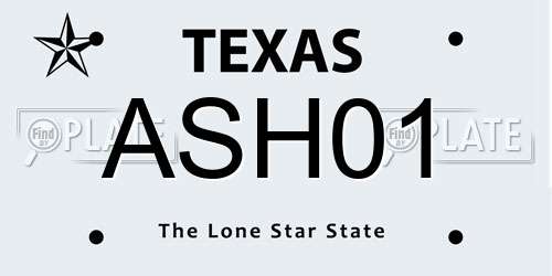 ASH01 Texas License Plate