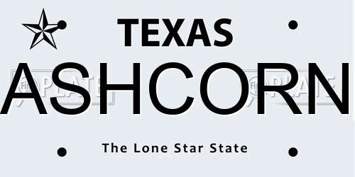 ASHCORN Texas License Plate
