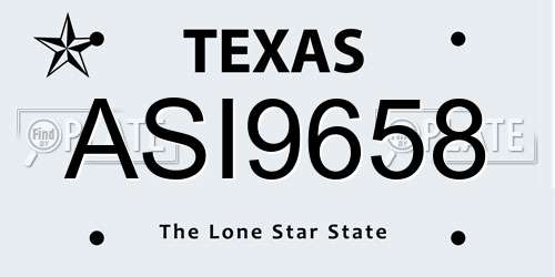 ASI9658 Texas License Plate