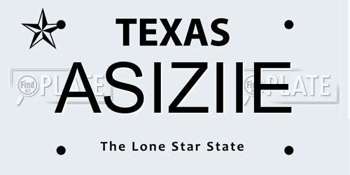 ASIZIIE Texas License Plate