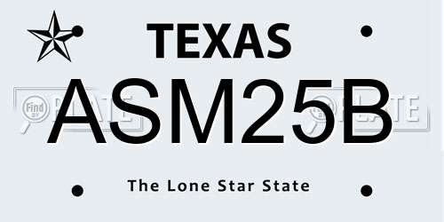 ASM25B Texas License Plate