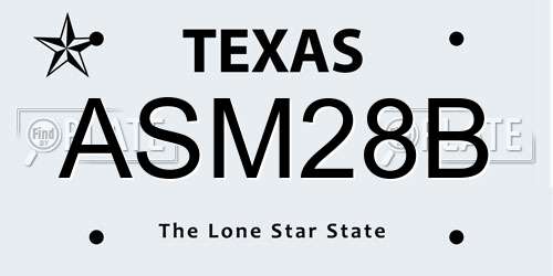 ASM28B Texas License Plate