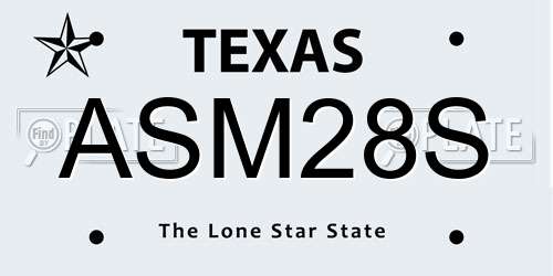 ASM28S Texas License Plate