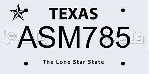 ASM785 Texas License Plate