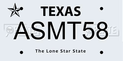 ASMT58 Texas License Plate