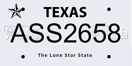 ASS2658 Texas License Plate