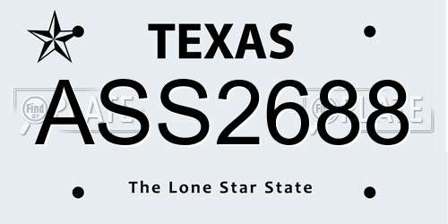 ASS2688 Texas License Plate