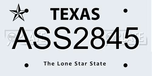 ASS2845 Texas License Plate