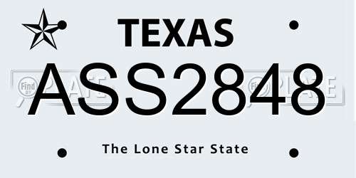 ASS2848 Texas License Plate