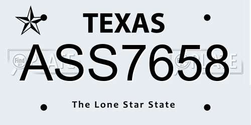 ASS7658 Texas License Plate