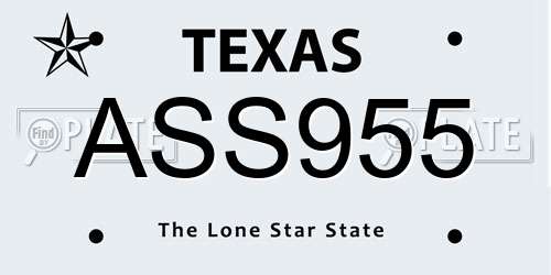 ASS955 Texas License Plate