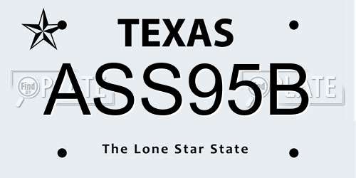 ASS95B Texas License Plate