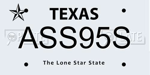 ASS95S Texas License Plate
