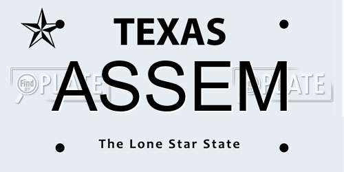 ASSEM Texas License Plate